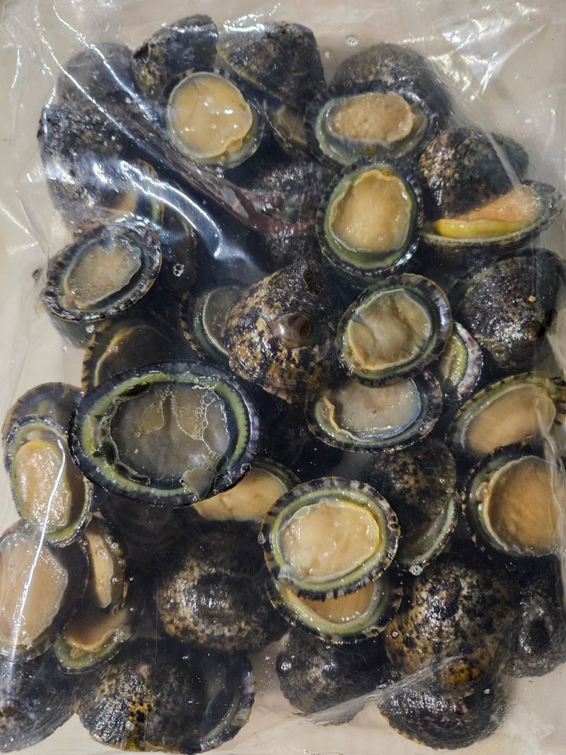 김진국님의 장터 판매 상품 [청정해역 완도 자연산 배말 삿갓조개 500g] 첨부 사진