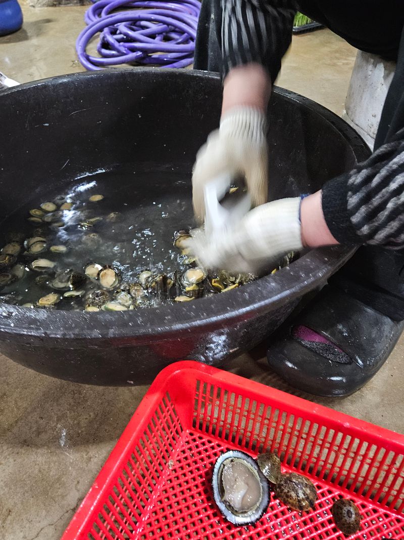 김진국님의 장터 판매 상품 [청정해역 완도 자연산 배말 삿갓조개 500g] 첨부 사진