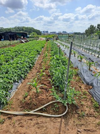 나누고싶어서님의 자유주제 · 칭찬해요 작성글 사진