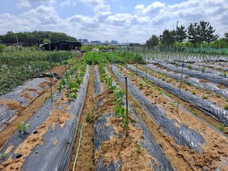 나누고싶어서님의 자유주제 · 칭찬해요 작성글 사진