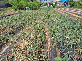 나누고싶어서님의 자유주제 · 칭찬해요 작성글 사진