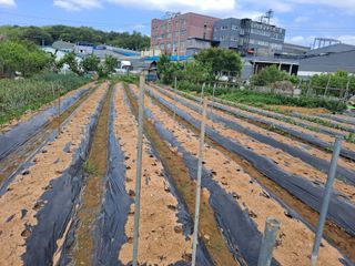 나누고싶어서님의 자유주제 · 칭찬해요 작성글 사진
