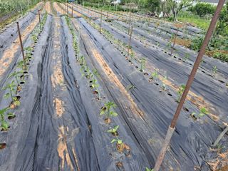 나누고싶어서님의 자유주제 · 칭찬해요 작성글 사진