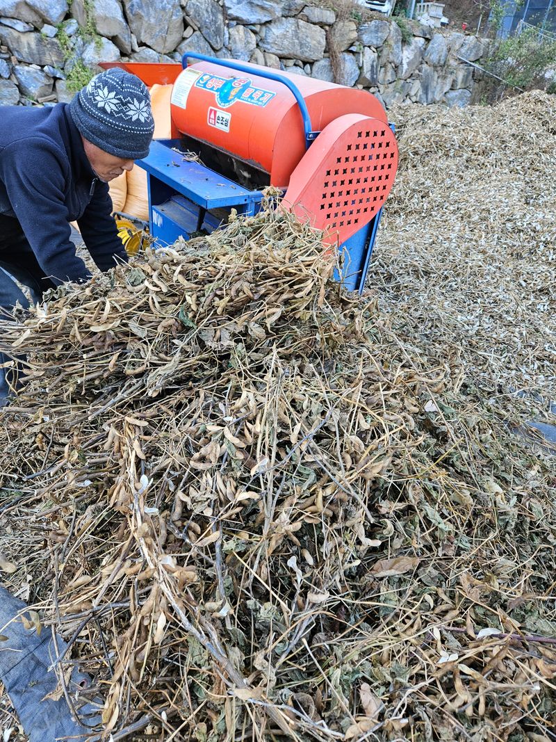 스마일님의 장터 판매 상품 [고랭지평창서리태] 첨부 사진