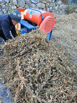 스마일님의 작성글 사진