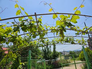 감자20359님의 팜이웃과 출근/퇴근 같이해요! · 참여글 작성글 사진