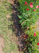 감자20359님의 팜이웃과 출근/퇴근 같이해요!·참여글 작성글 사진