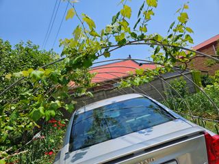 감자20359님의 팜이웃과 출근/퇴근 같이해요! · 참여글 작성글 사진