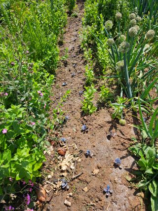 감자20359님의 팜이웃과 출근/퇴근 같이해요! · 참여글 작성글 사진