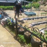 짱순이연속8월출석왕님의 팜이웃과 출근/퇴근 같이해요!·참여글 작성글 사진