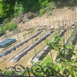 짱순이연속8월출석왕님의 팜이웃과 출근/퇴근 같이해요!·참여글 작성글 사진