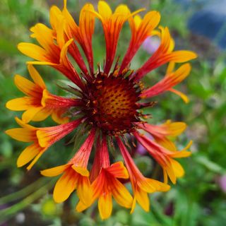 knlee님의 자유주제 · 자유게시판 작성글 사진