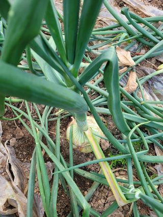 박기식 님의 자유주제 · 자유게시판 작성글 사진