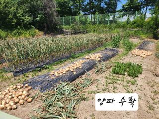 조용오님의 자유주제 · 자유게시판 작성글 사진