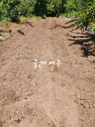 조용오님의 자유주제 · 자유게시판 작성글 사진