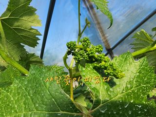 조용오님의 자유주제 · 자유게시판 작성글 사진