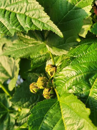 원탑님의 팜이웃과 출근/퇴근 같이해요!·참여글 작성글 사진