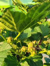 원탑님의 팜이웃과 출근/퇴근 같이해요!·참여글 작성글 사진