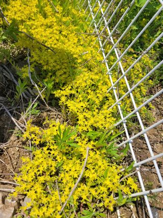 원탑님의 팜이웃과 출근/퇴근 같이해요! · 참여글 작성글 사진