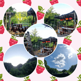 달방구님의 팜이웃과 출근/퇴근 같이해요!·참여글 작성글 사진