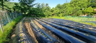 달방구님의 팜이웃과 출근/퇴근 같이해요! · 참여글 작성글 사진