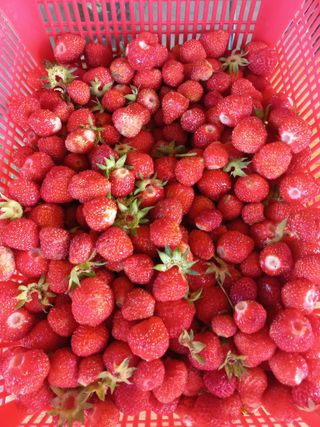 이성민님의 자유주제 · 자유게시판 작성글 사진