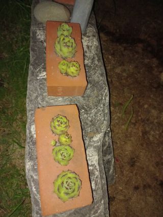 이성민님의 자유주제 · 자유게시판 작성글 사진