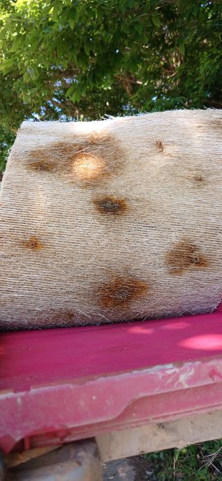 김종일님의 벼 · 병해충상담 작성글 사진