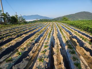 금우님의 자유주제 · 자유게시판 작성글 사진