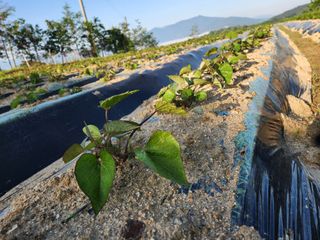 금우님의 자유주제 · 자유게시판 작성글 사진