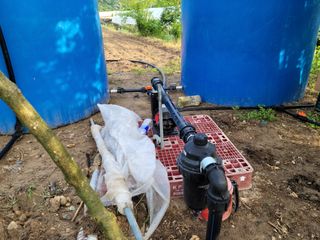 김태훈님의 기타작물 · 영농일지 작성글 사진