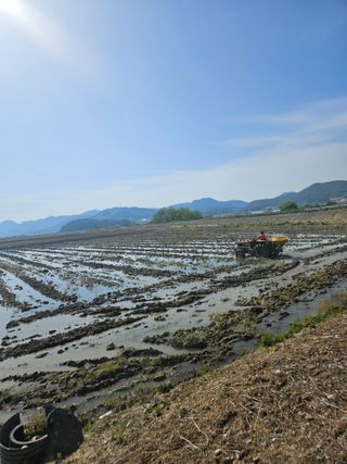 땅끝해남님의 벼 · 영농일지 작성글 사진