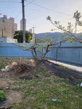 팜모닝 자유주제·자유게시판 게시글 이미지