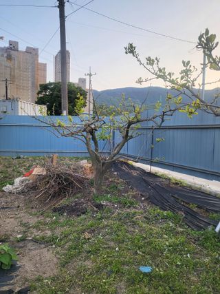 정정숙님의 자유주제 · 자유게시판 작성글 사진