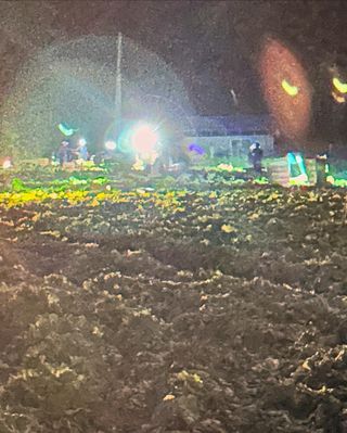 호저*윤정님의 기타작물 · 영농일지 작성글 사진