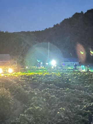 호저*윤정님의 기타작물 · 영농일지 작성글 사진