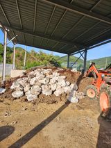 팜모닝 기타작물·영농일지 게시글 이미지