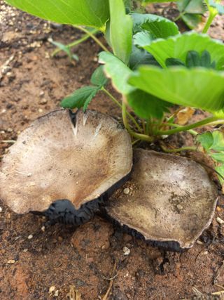 박린님의 자유주제 · 자유게시판 작성글 사진