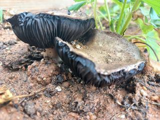 박린님의 자유주제 · 자유게시판 작성글 사진