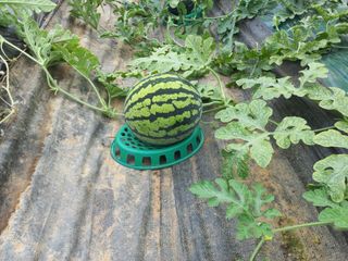 박린님의 자유주제 · 자유게시판 작성글 사진