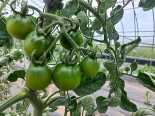 박린님의 자유주제 · 자유게시판 작성글 사진