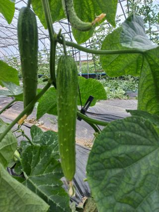 박린님의 자유주제 · 자유게시판 작성글 사진