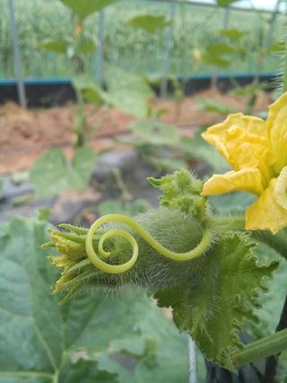 박린님의 자유주제 · 자유게시판 작성글 사진