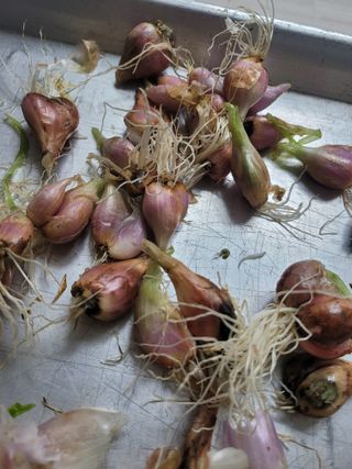 원탑님의 자유주제 · 자유게시판 작성글 사진