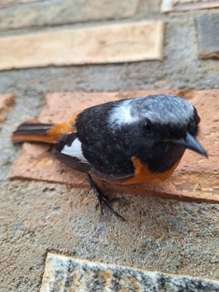 김은숙님의 자유주제 · 자유게시판 작성글 사진