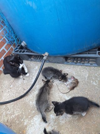 김은숙님의 자유주제 · 자유게시판 작성글 사진