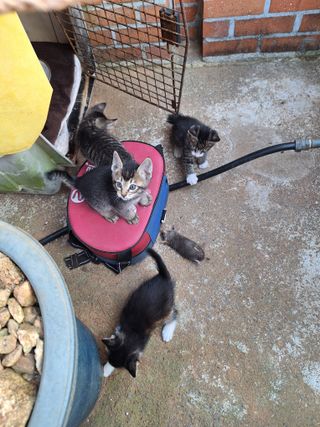 김은숙님의 자유주제 · 자유게시판 작성글 사진