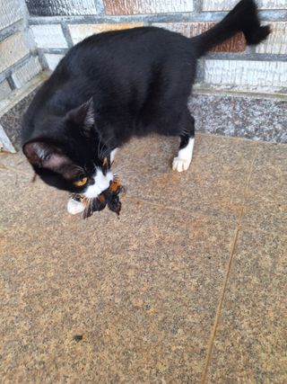 김은숙님의 자유주제 · 자유게시판 작성글 사진