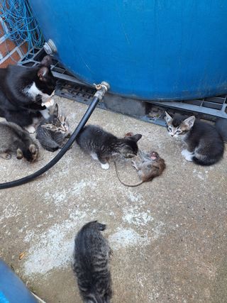 김은숙님의 자유주제 · 자유게시판 작성글 사진