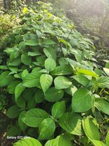 팜모닝 · 게시글 이미지